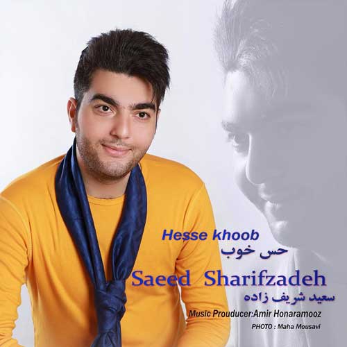 سعید شریف زاده حس خوب